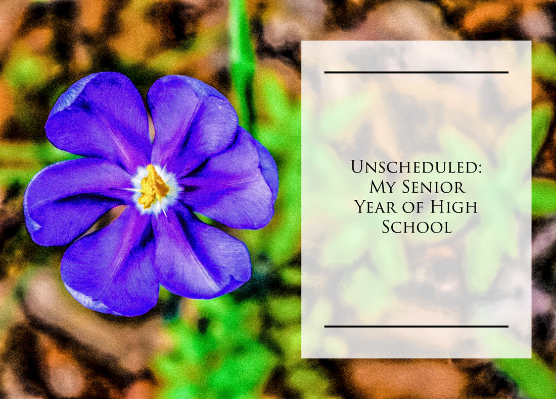 Unscheduled: Learning to Navigate the In-Between My Senior Year of High School