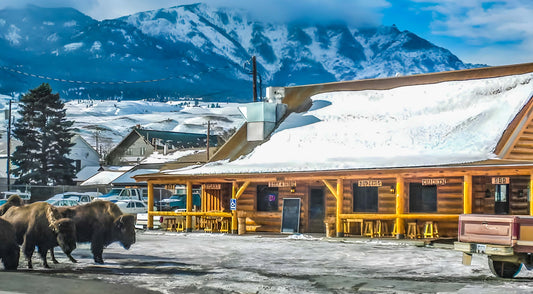 A Visit to Cowboy's Lodge and Grille Gardiner, Montana