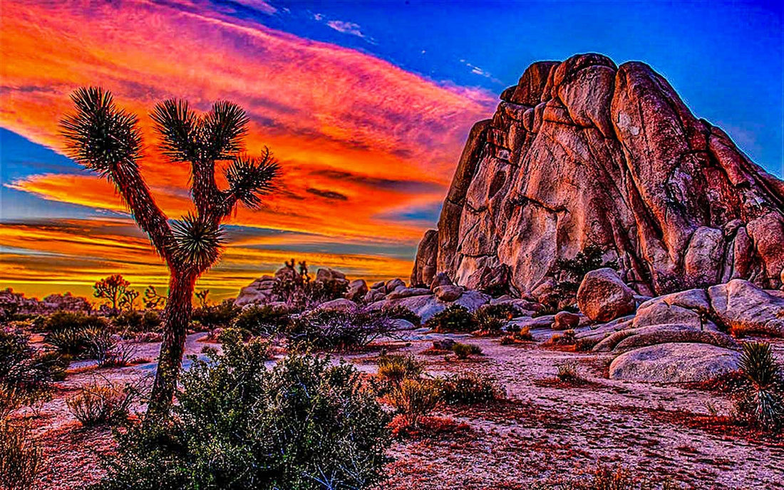 A Travel essay about Joshua Tree, California by James Bonner