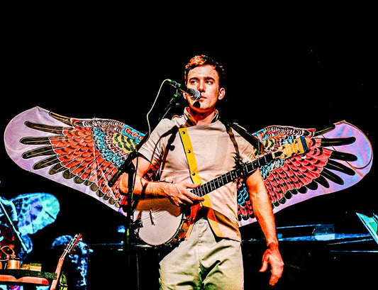 An Essay about Musician Sufjan Stevens by James Bonner