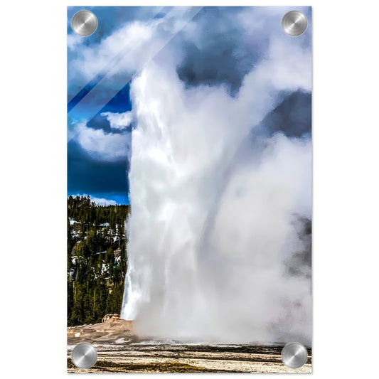 In the Wind: Old Faithful, Yellowstone National Park Acrylic Print