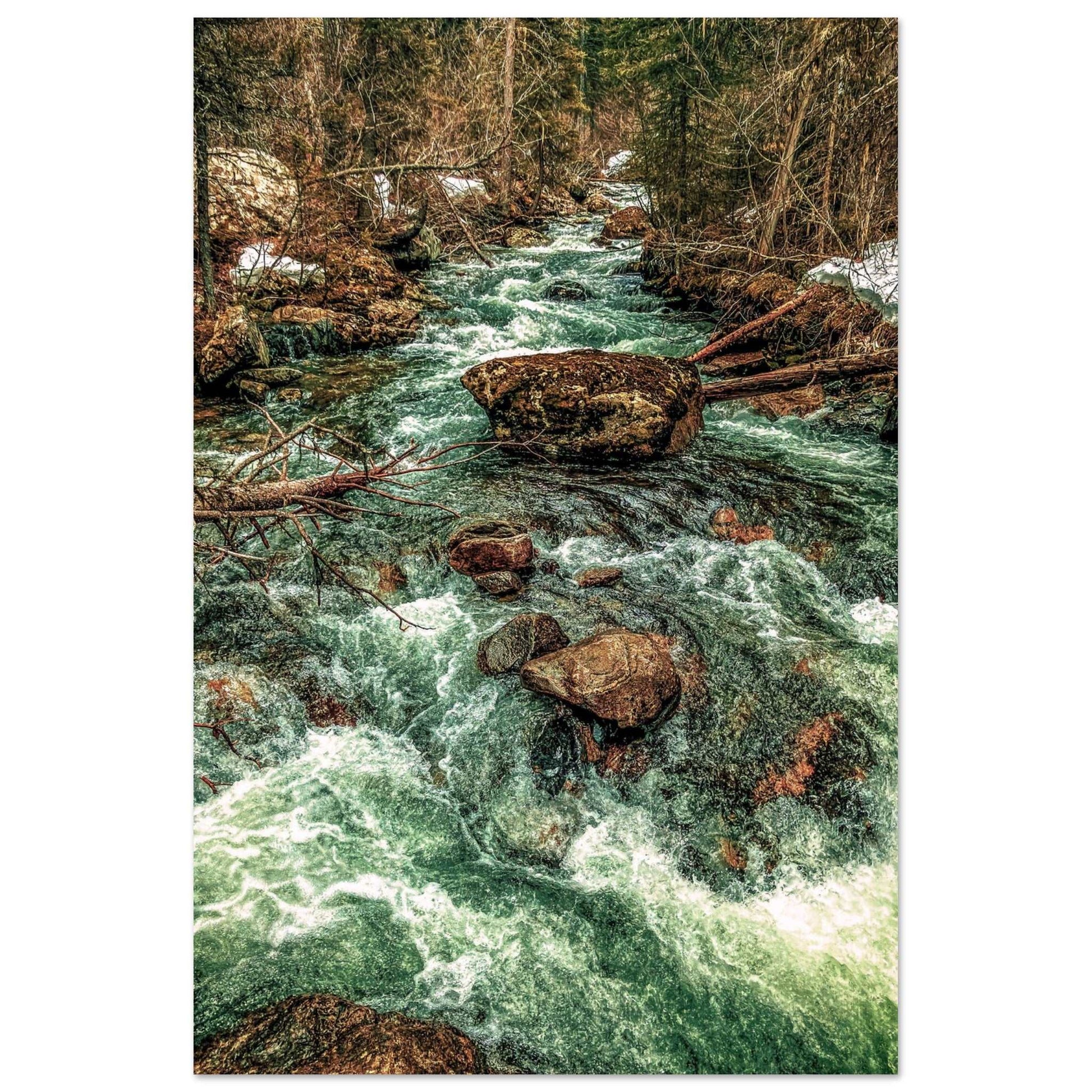 Pine Creek; Paradise Valley, Montana Premium Matte Poster