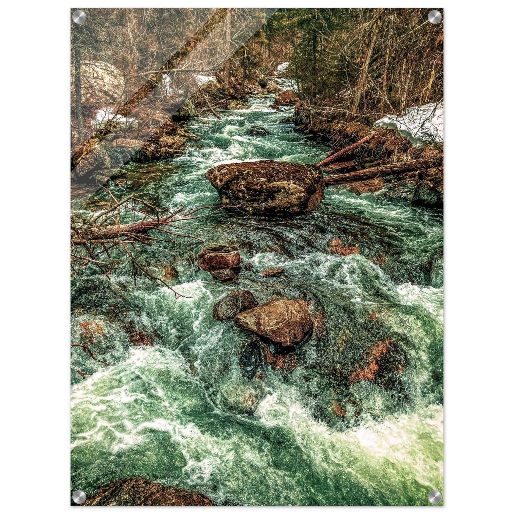 Pine Creek; Paradise Valley, Montana Acrylic Print