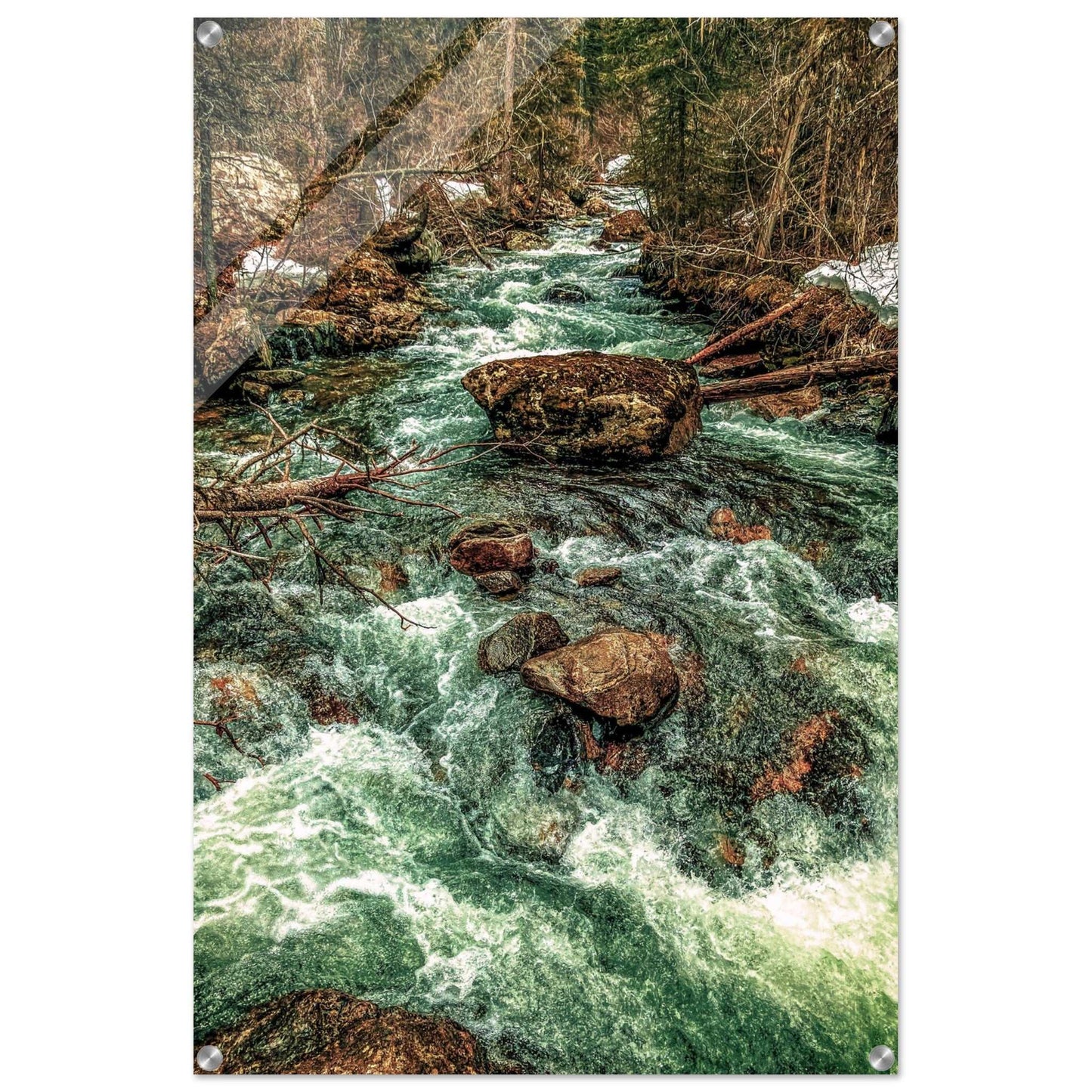 Pine Creek; Paradise Valley, Montana Acrylic Print