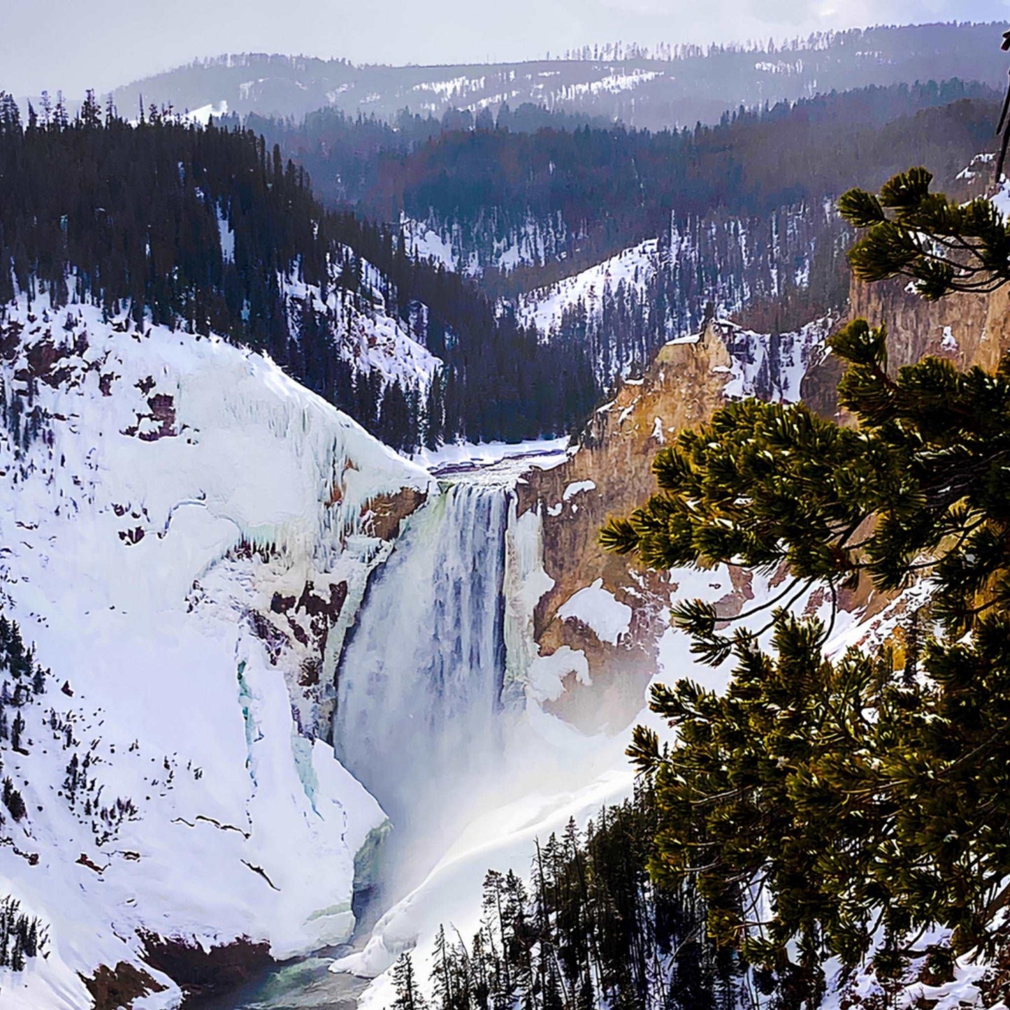 Lower Falls, Yellowstone National Park II Premium Matte Poster