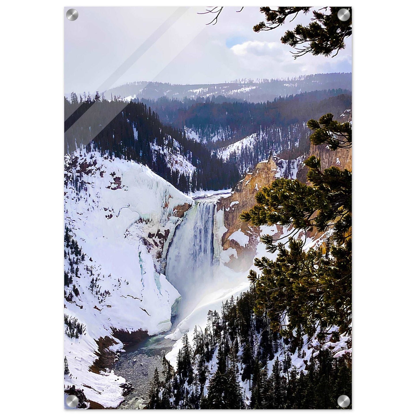 Lower Falls, Yellowstone National Park I Acrylic Print