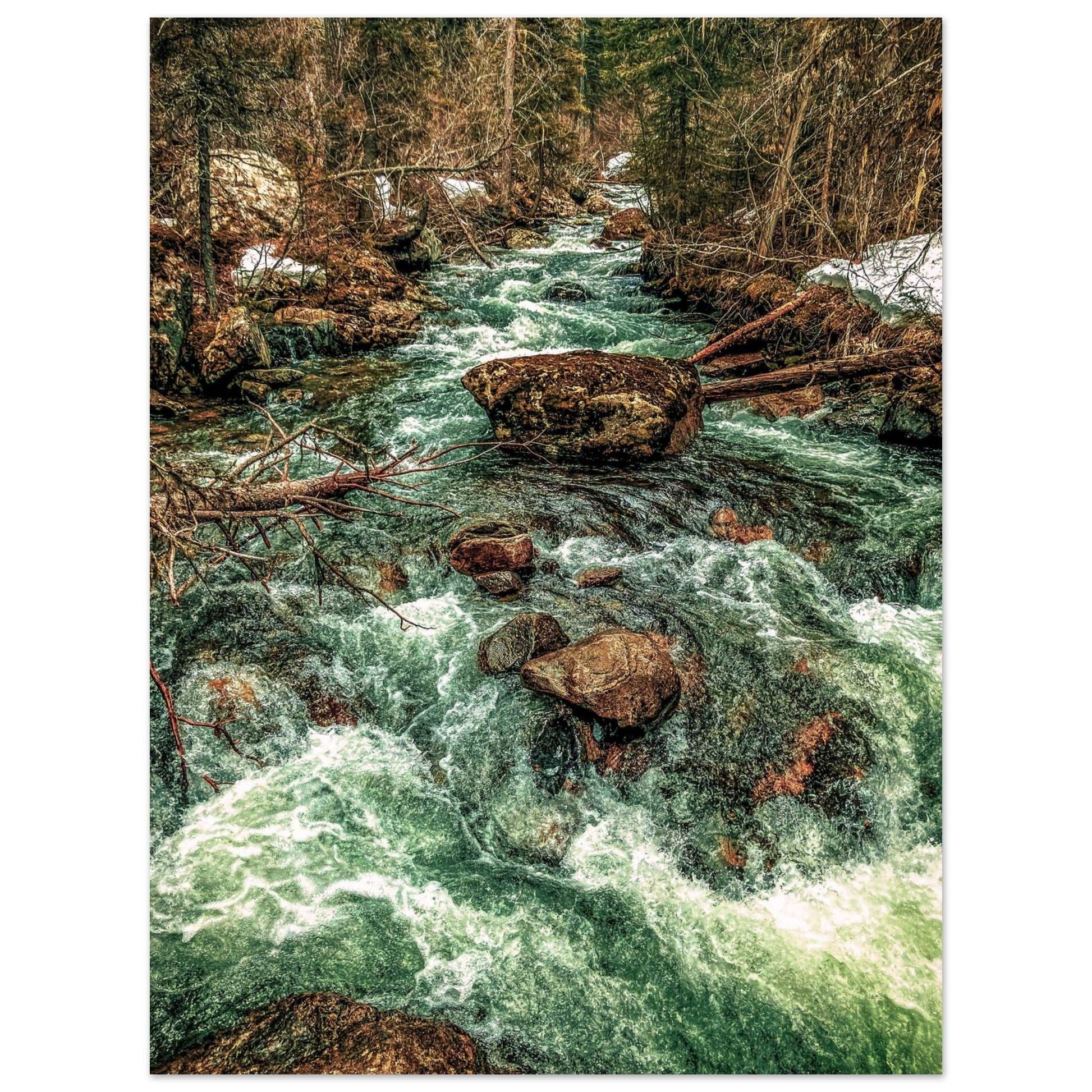 Pine Creek; Paradise Valley, Montana Premium Matte Poster