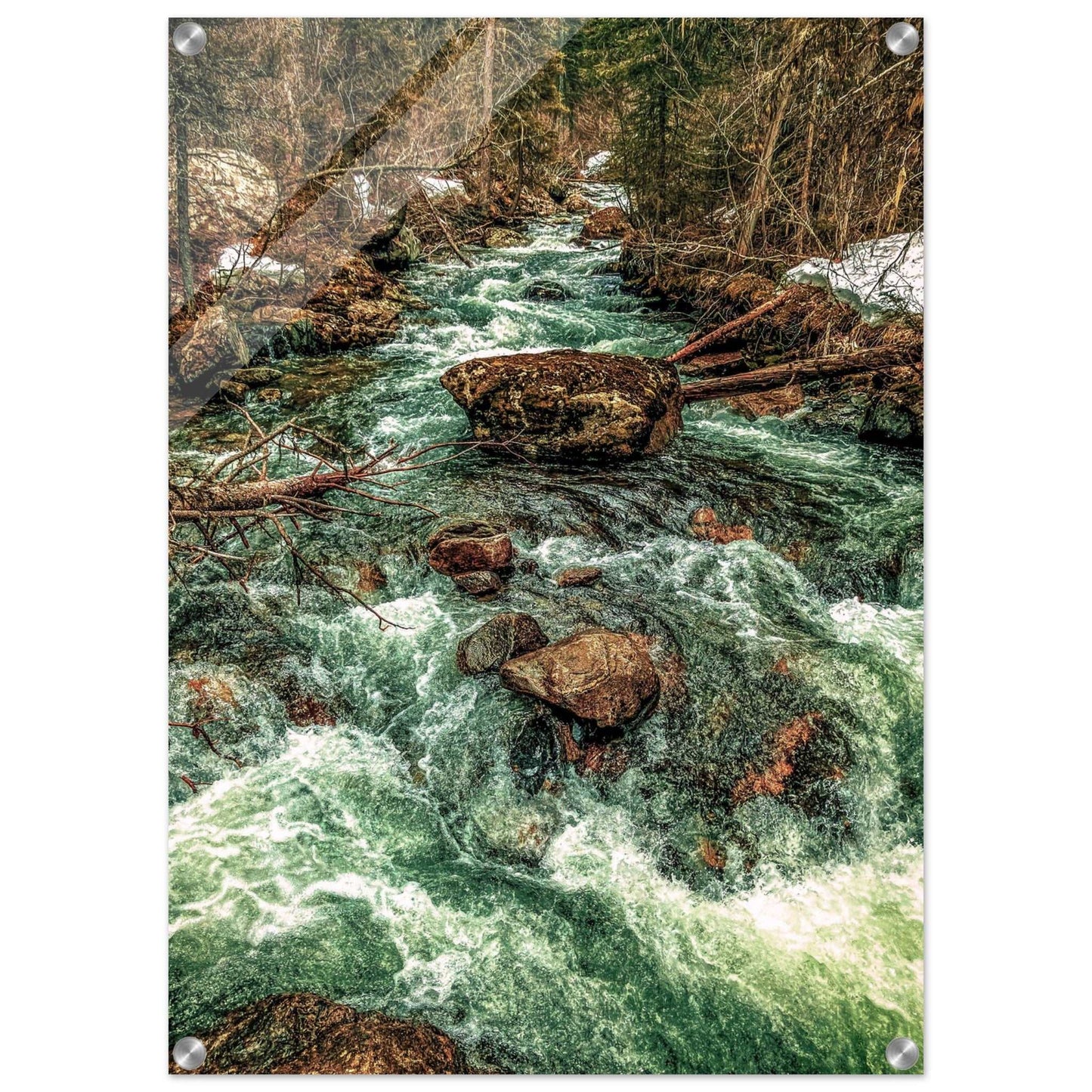 Pine Creek; Paradise Valley, Montana Acrylic Print