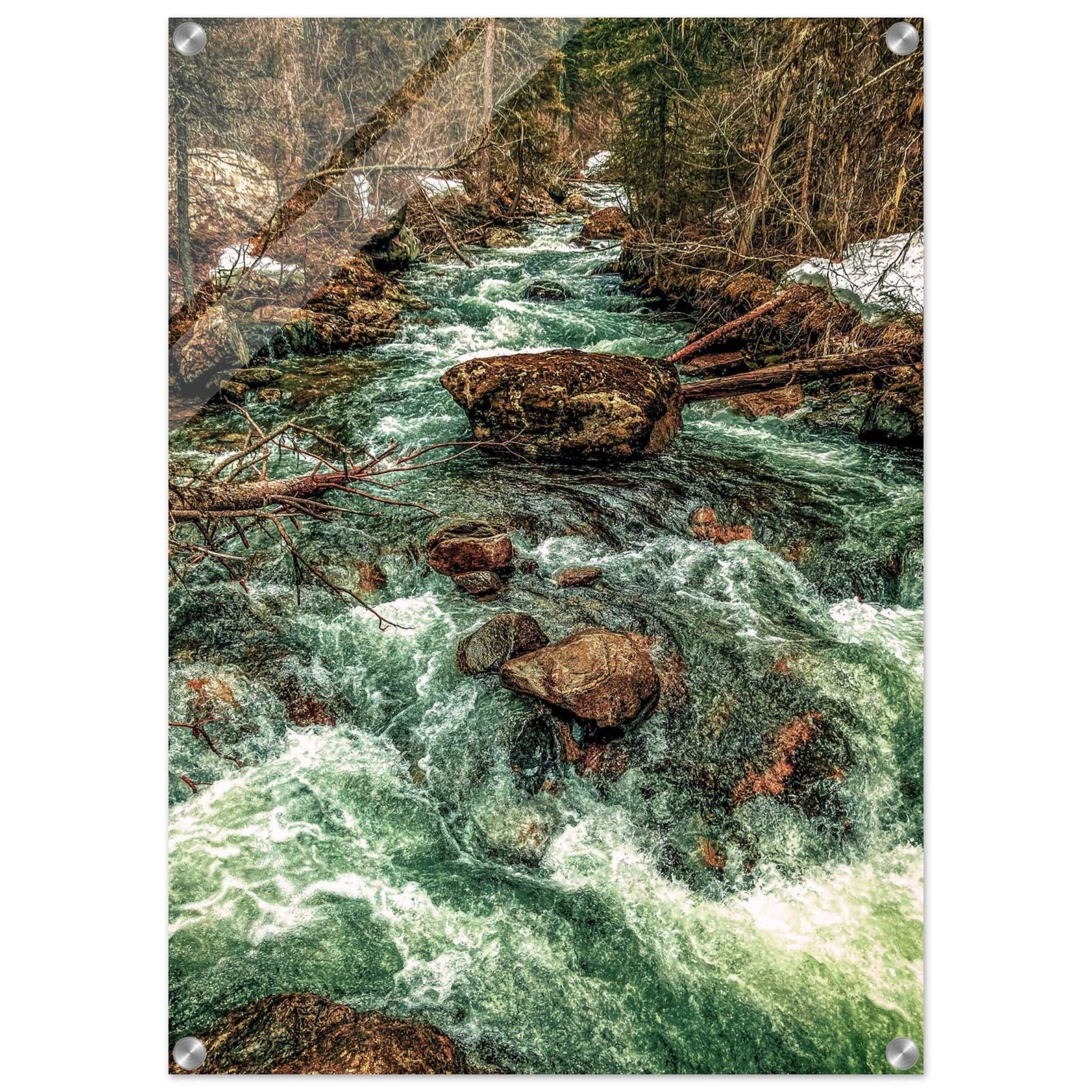 Pine Creek; Paradise Valley, Montana Acrylic Print