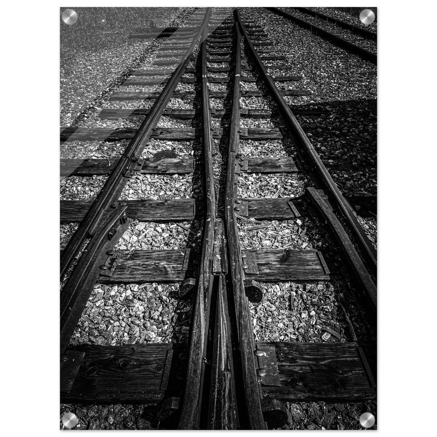 Railroad Tracks, Montana Black & White Acrylic Print