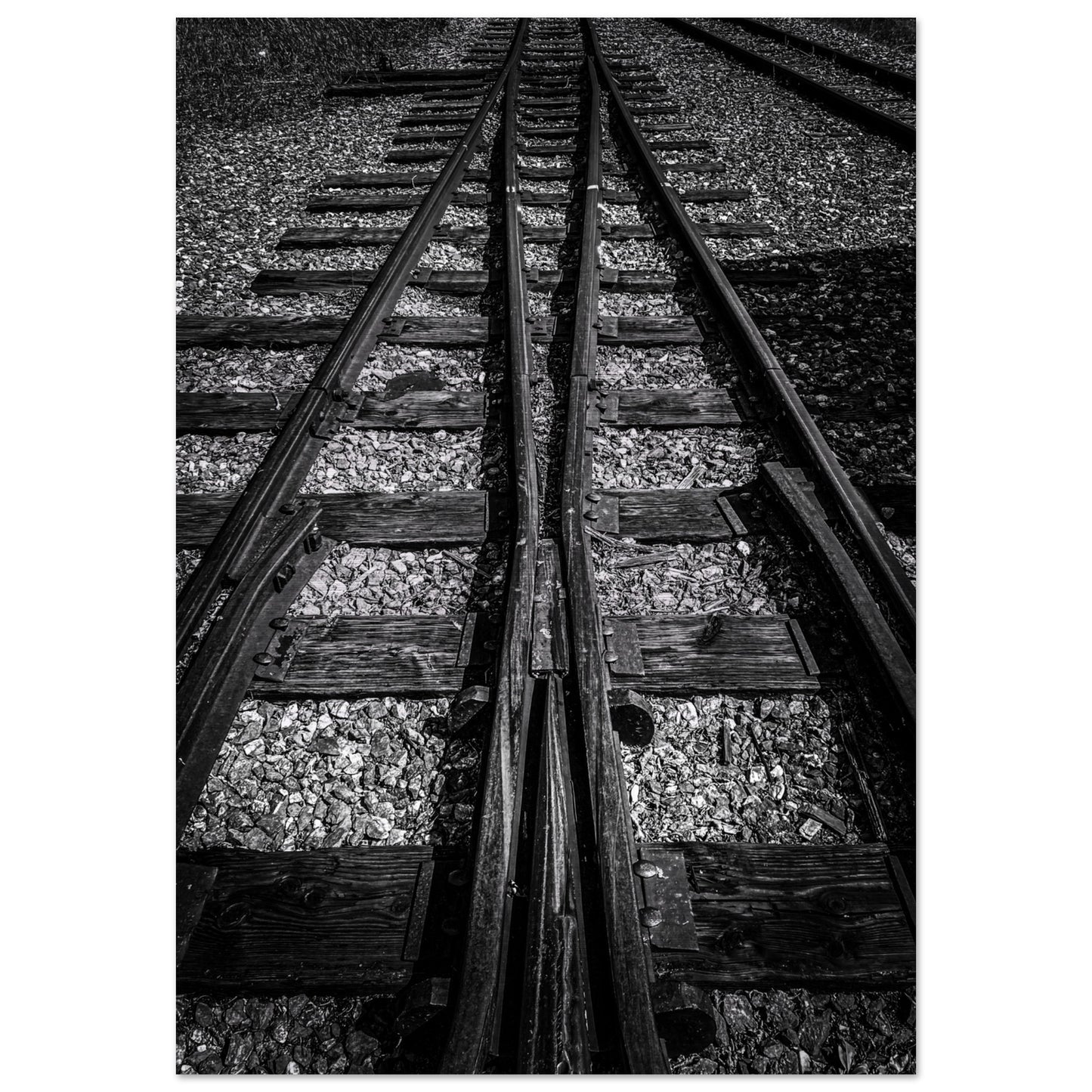Railroad Tracks, Montana Brushed Aluminum Print