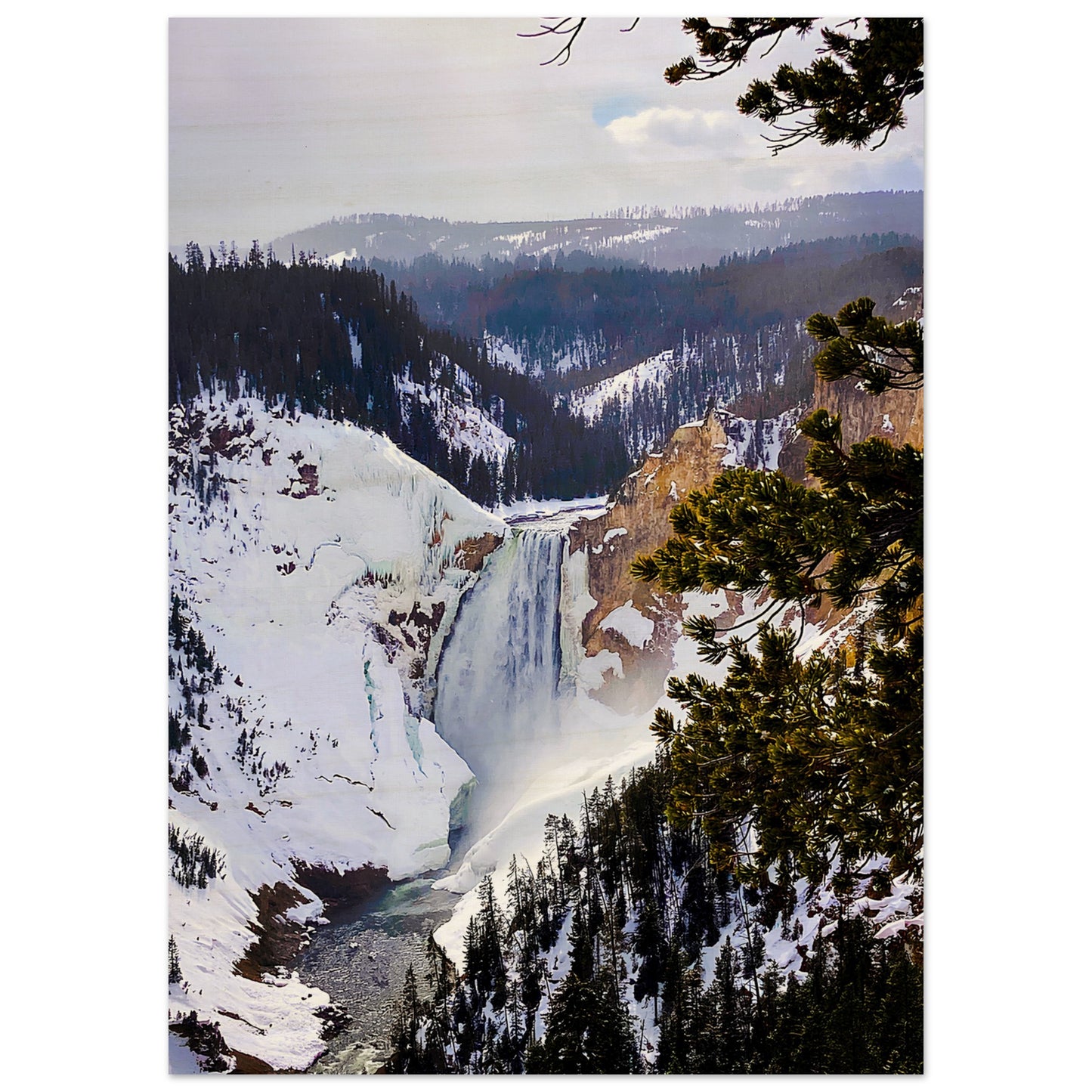 Lower Falls, Yellowstone National Park 
