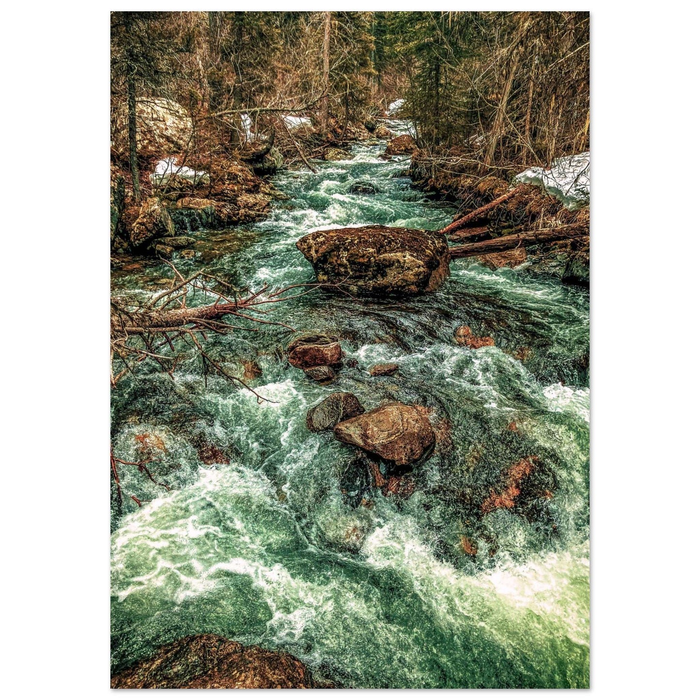 Pine Creek; Paradise Valley, Montana Premium Matte Poster