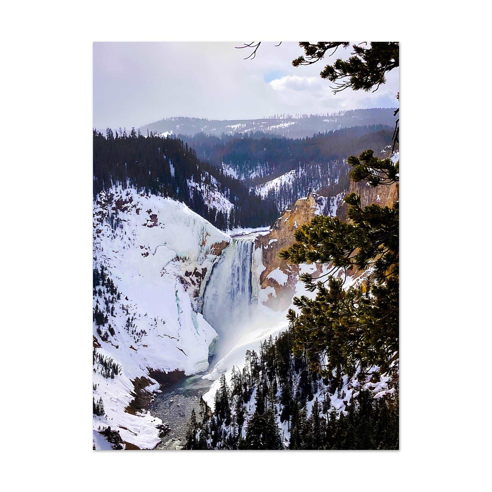 Lower Falls, Yellowstone National Park II Premium Matte Poster