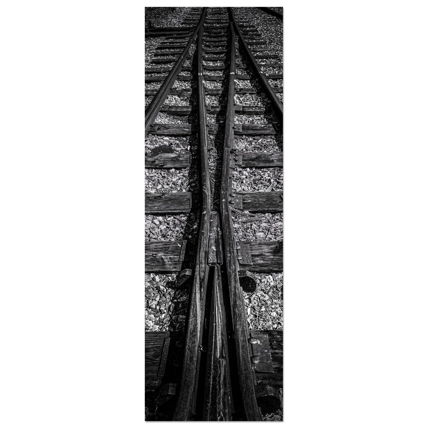 Railroad Tracks, Montana Brushed Aluminum Print