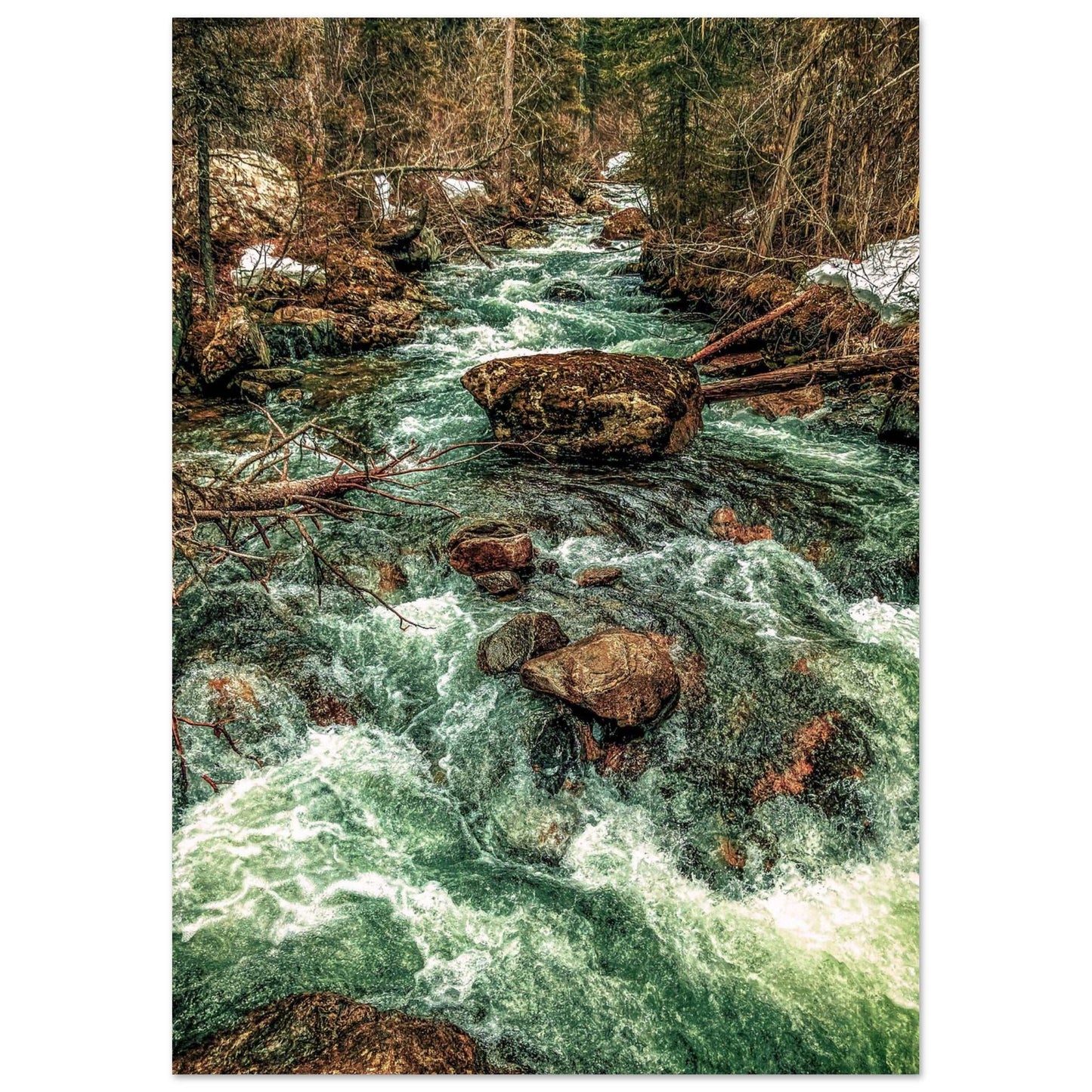 Pine Creek; Paradise Valley, Montana Premium Matte Poster