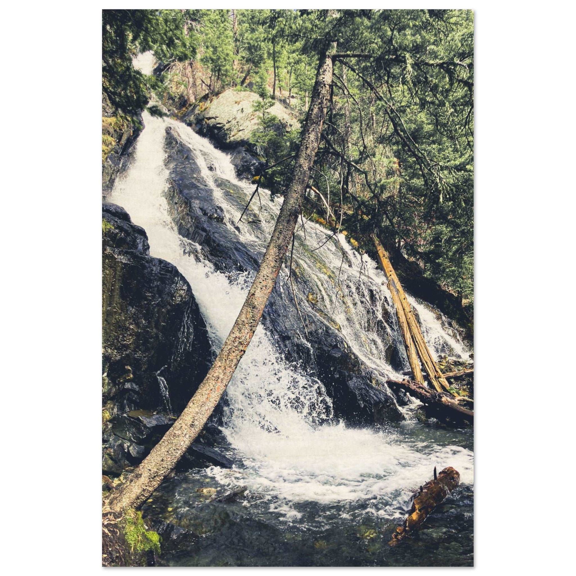 Pine Creek Falls; Pine Creek Trail; Paradise Valley, Montana Wood Print