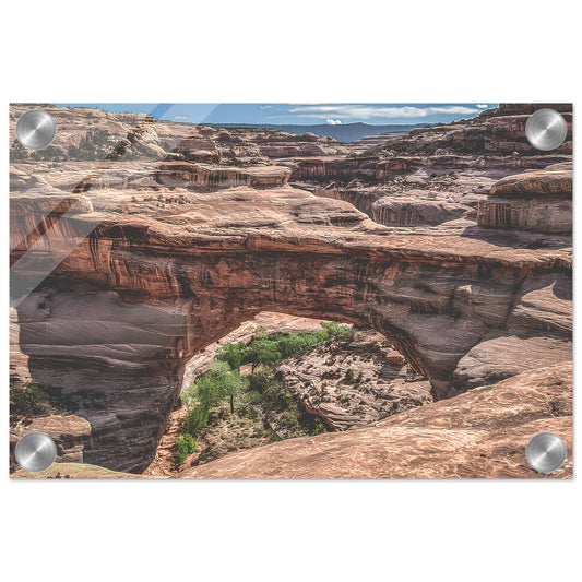 Kachina Bridge, Natural Bridges National Monument Acrylic Print Communitea Books James Bonner