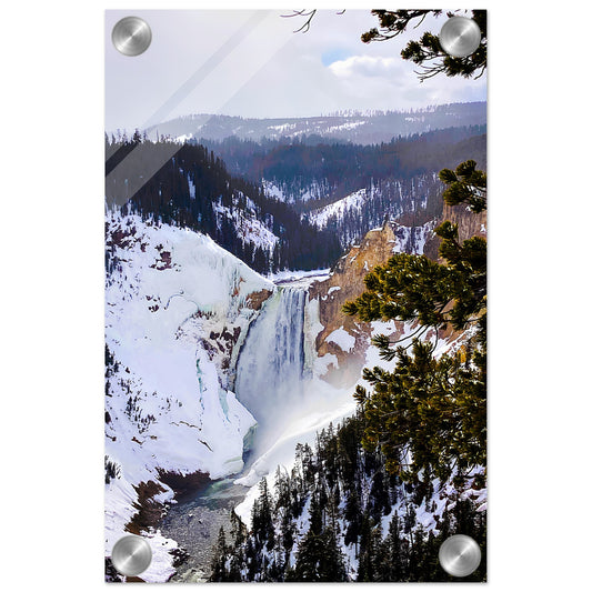 Lower Falls, Yellowstone National Park I Acrylic Print Communitea Books James Bonner