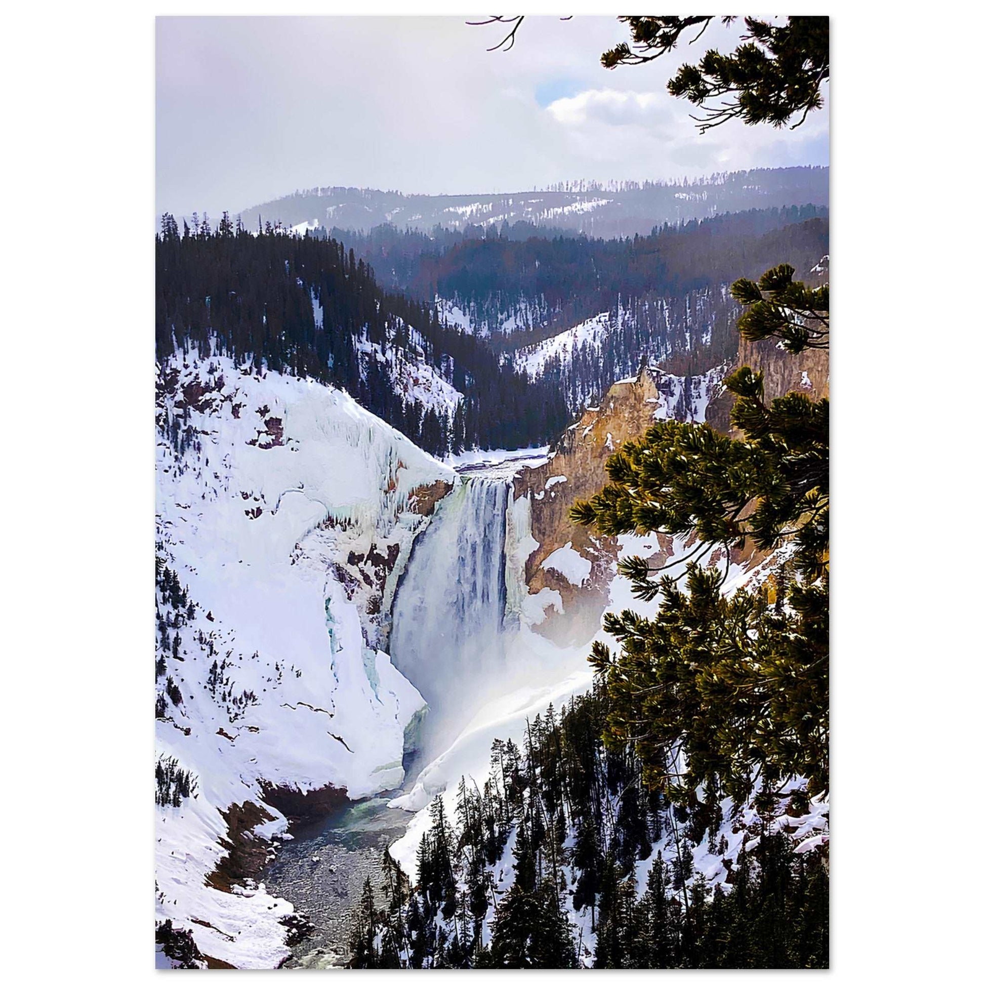 Lower Falls; Yellowstone National Park, Wyoming II Premium Matte Poster Communitea Books James Bonner