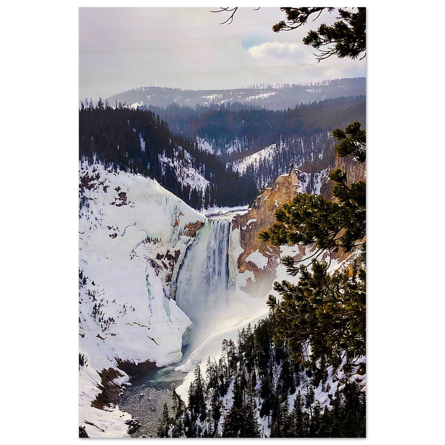 Lower Falls; Yellowstone National Park, Wyoming II Wood Print Communitea Books James Bonner