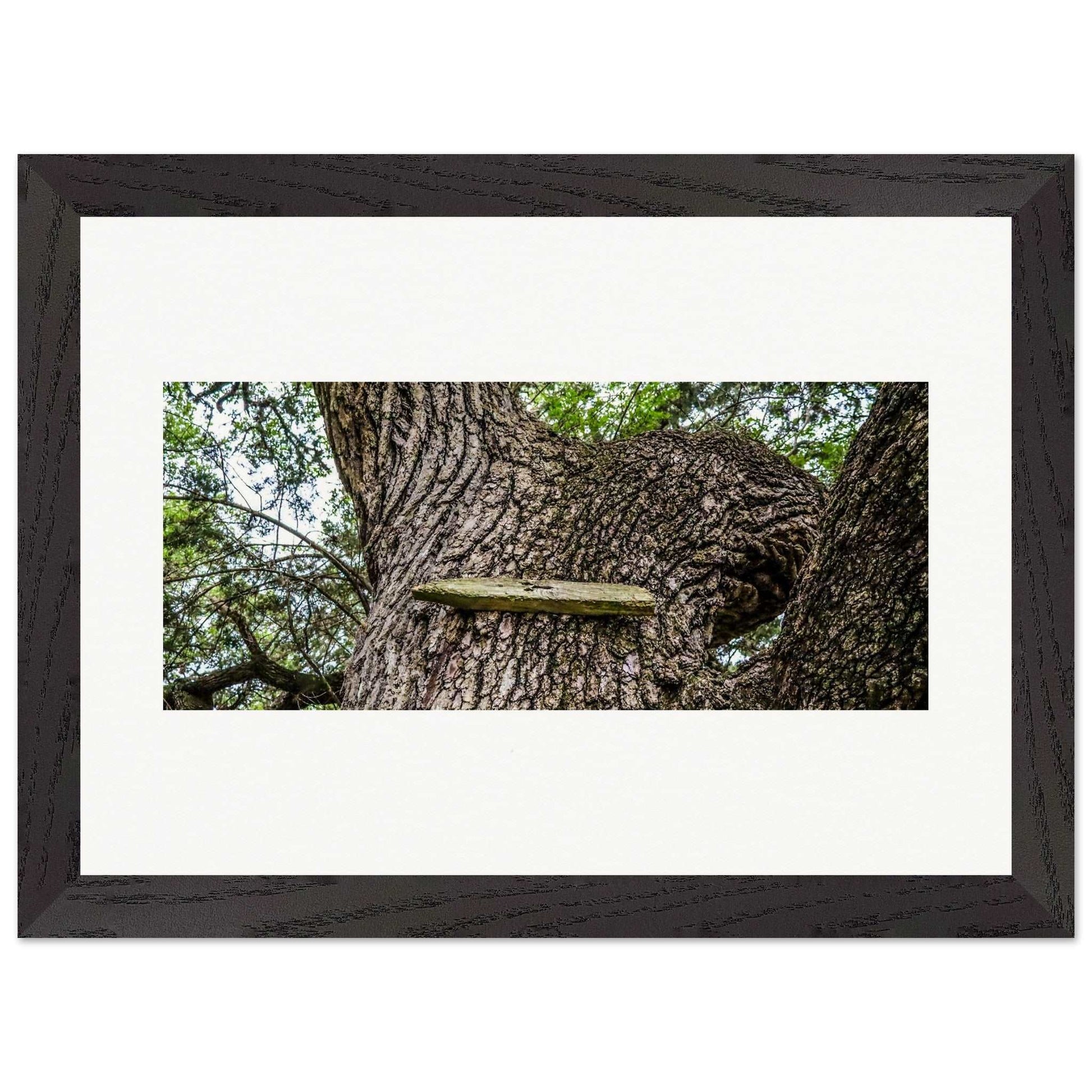 Ol' Treehouse; Boerne, Texas Wood Framed Print Communitea Books James Bonner