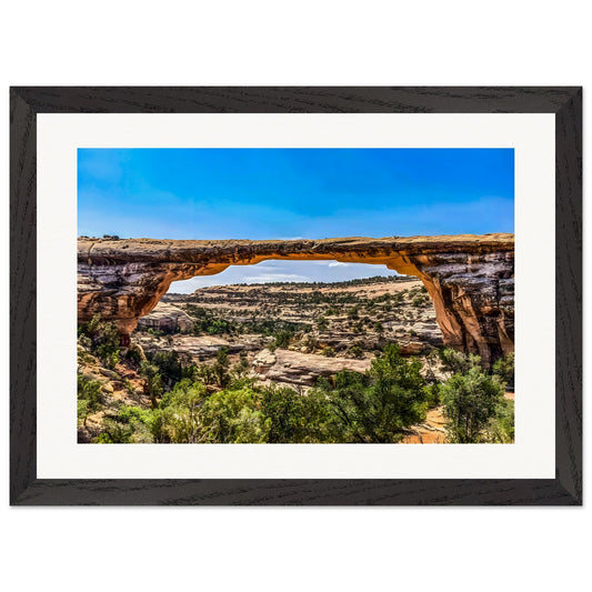 Owachoma Bridge; Natural Bridges National Monument, Utah Premium Wooden Framed Print Communitea Books James Bonner