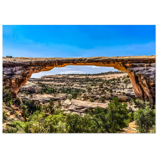 Owachomo Bridge; Natural Bridges National Monument II Premium Matte Poster Communitea Books James Bonner