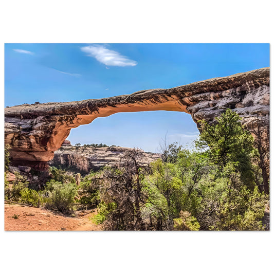 Owachomo Bridge; Natural Bridges National Monument I Premium Matte Poster Communitea Books James Bonner