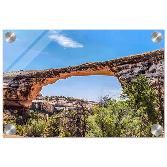 Owachomo Bridge; Natural Bridges National Monument, Utah II Acrylic Print Communitea Books James Bonner