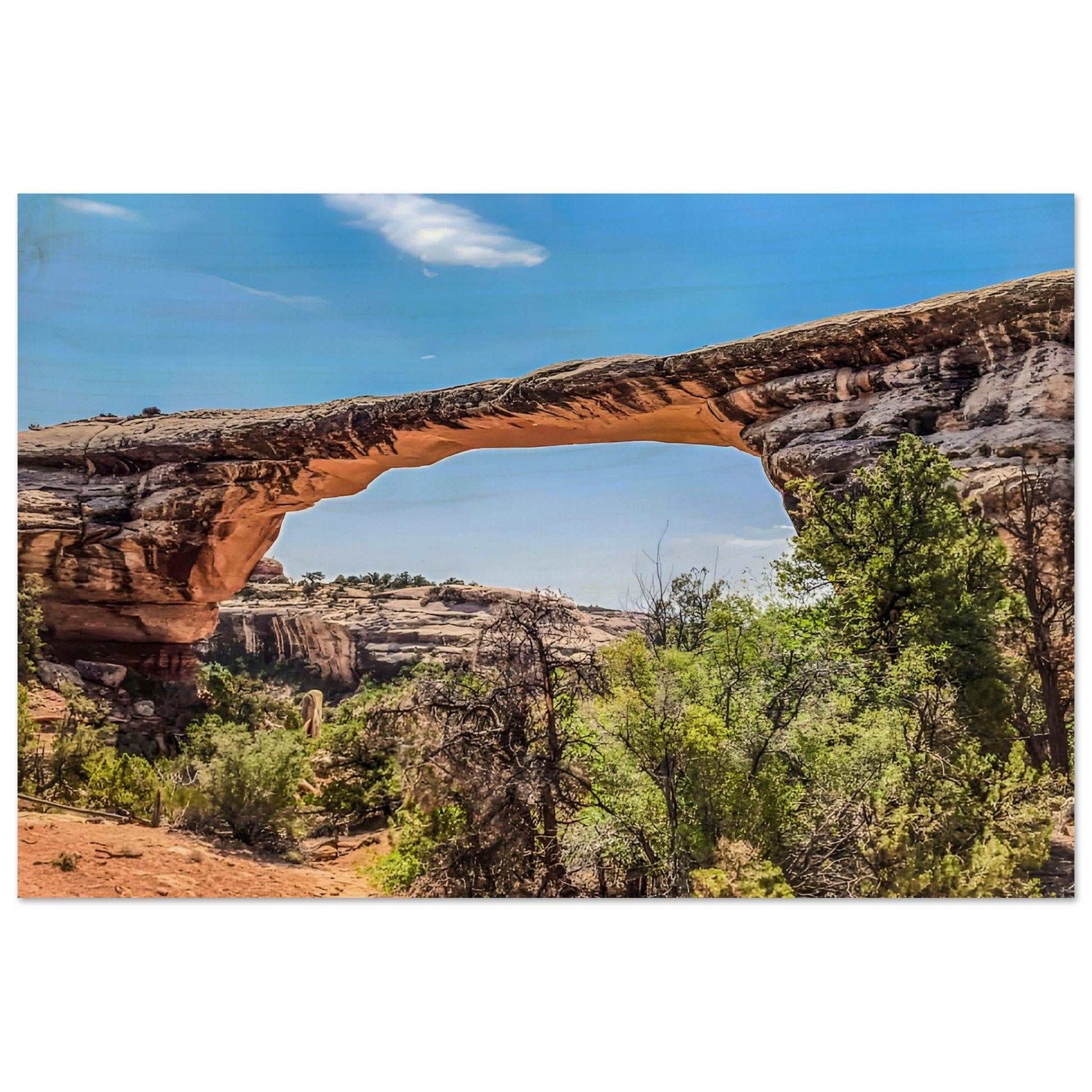 Owachomo Bridge; Natural Bridges National Monument, Utah II Wood Print Communitea Books James Bonner