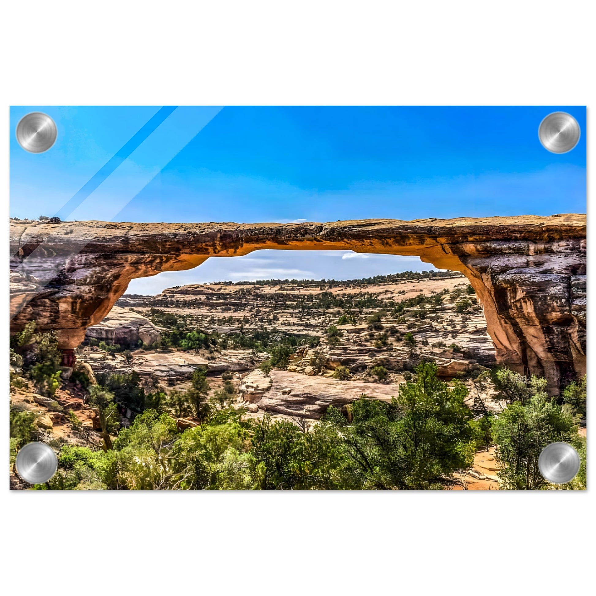 Owachomo Bridge; Natural Bridges National Monument, Utah I Acrylic Print Communitea Books James Bonner