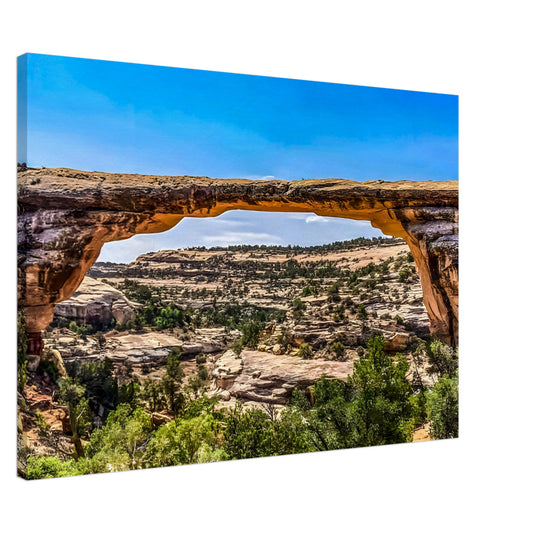 Owachomo Bridge; Natural Bridges National Monument on Canvas Communitea Books James Bonner