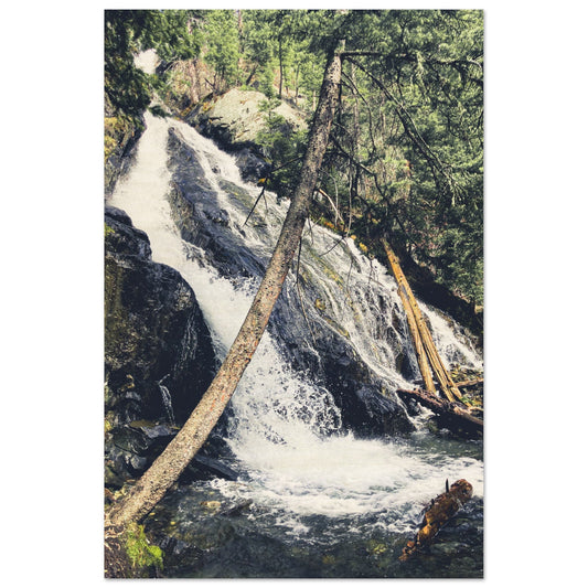 Pine Creek Falls; Pine Creek Trail; Paradise Valley, Montana Wood Print Communitea Books James Bonner