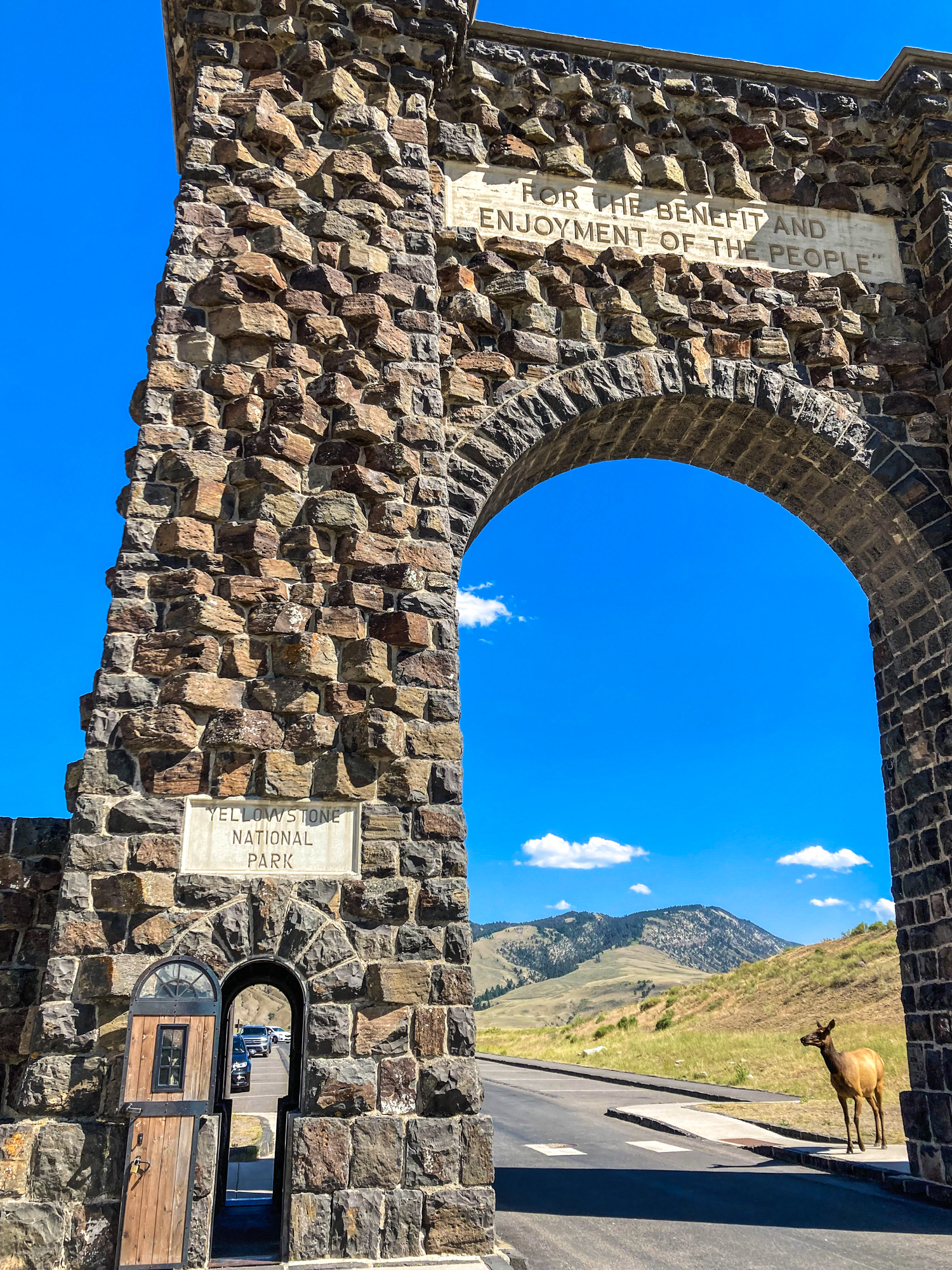 Roosevelt Arch & Elk Yellowstone National Park Communitea Books