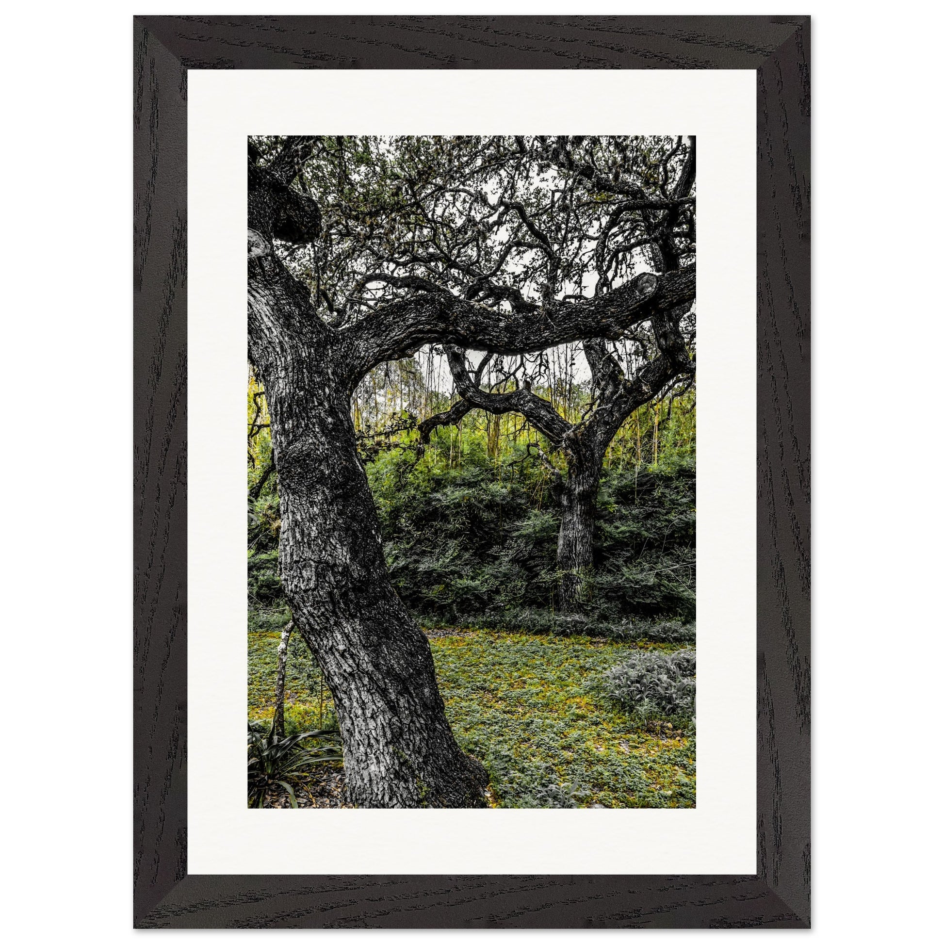 Shades of Green; Boerne, Texas Wood Framed Print Communitea Books James Bonner