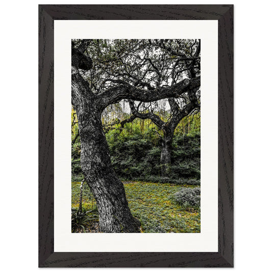 Shades of Green; Boerne, Texas Wood Framed Print Communitea Books James Bonner
