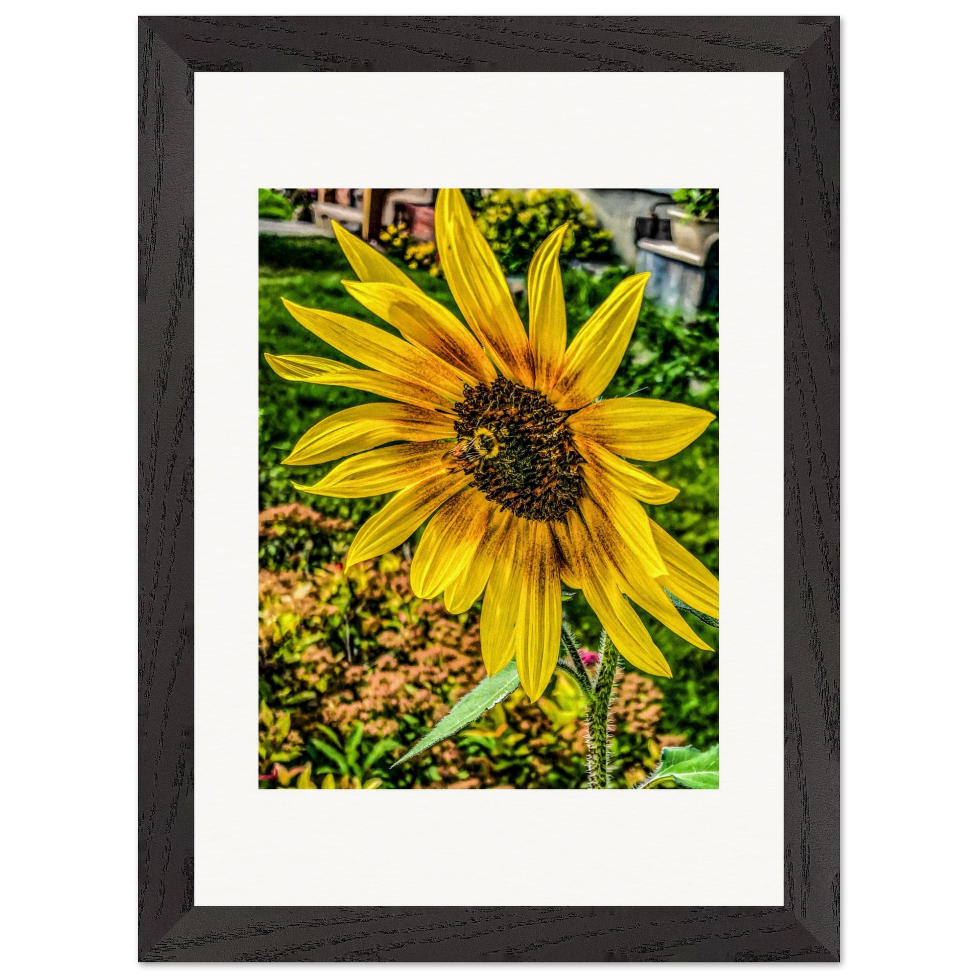 Sunflower & Bee; Livingston, Montana Wood Framed Print Communitea Books James Bonner