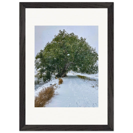 Winter Tree; Livingston, Montana Premium Wooden Framed Print Communitea Books James Bonner