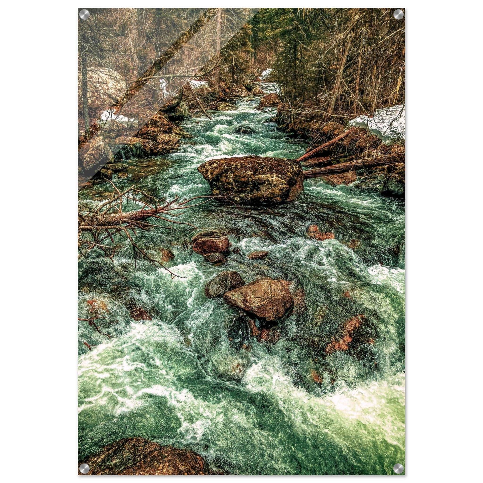 Pine Creek; Paradise Valley, Montana Acrylic Print