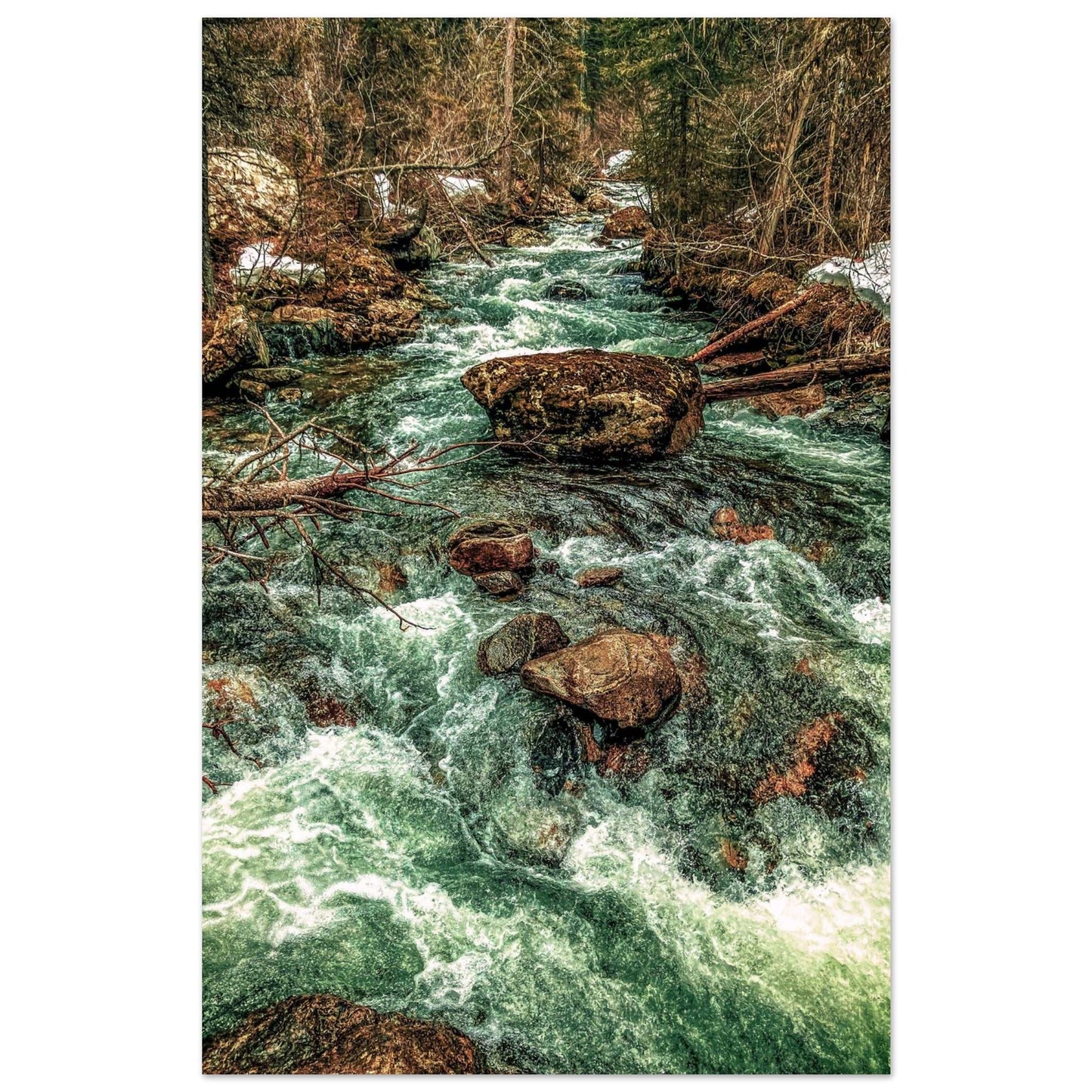 Pine Creek; Paradise Valley, Montana Premium Matte Poster