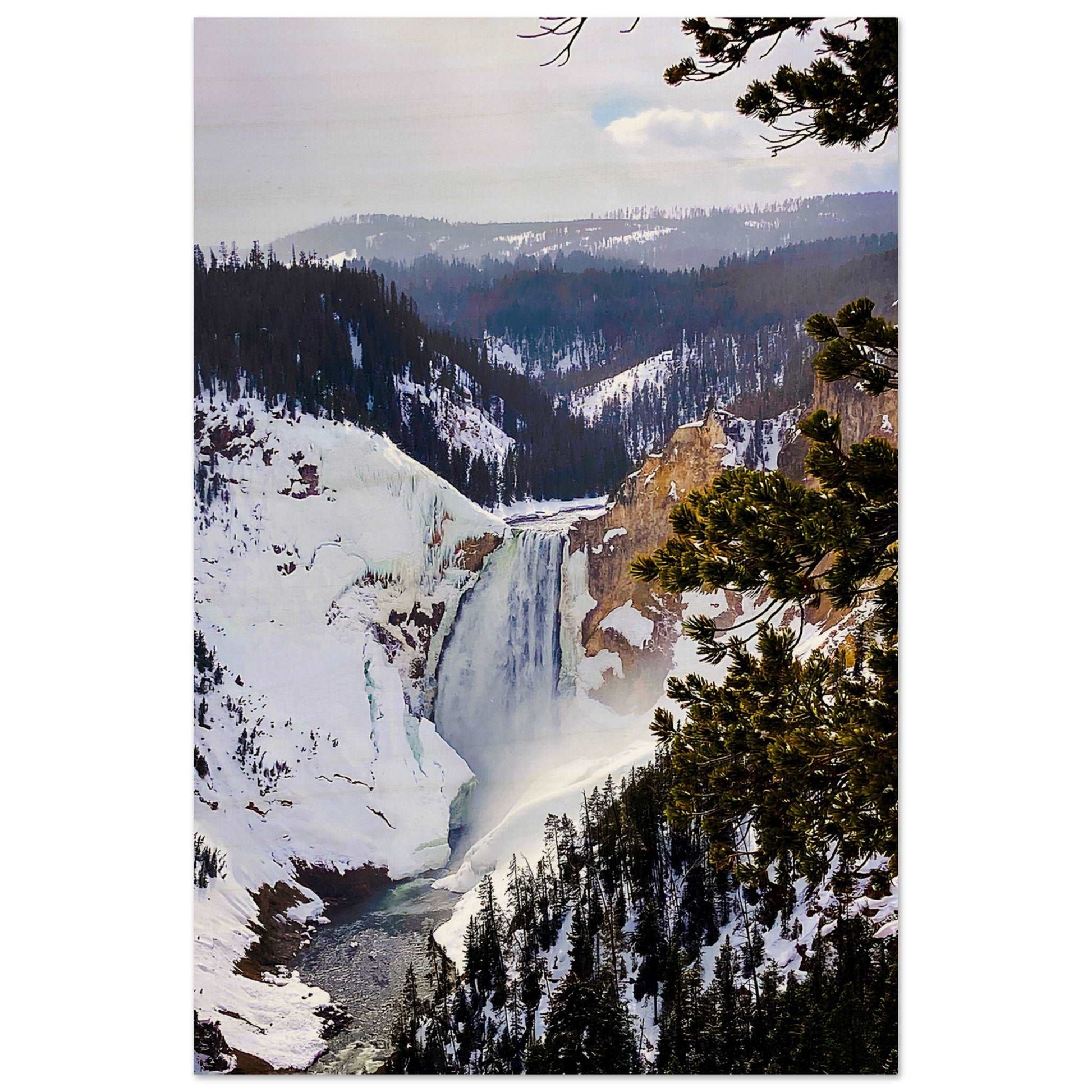 Lower Falls, Yellowstone National Park 