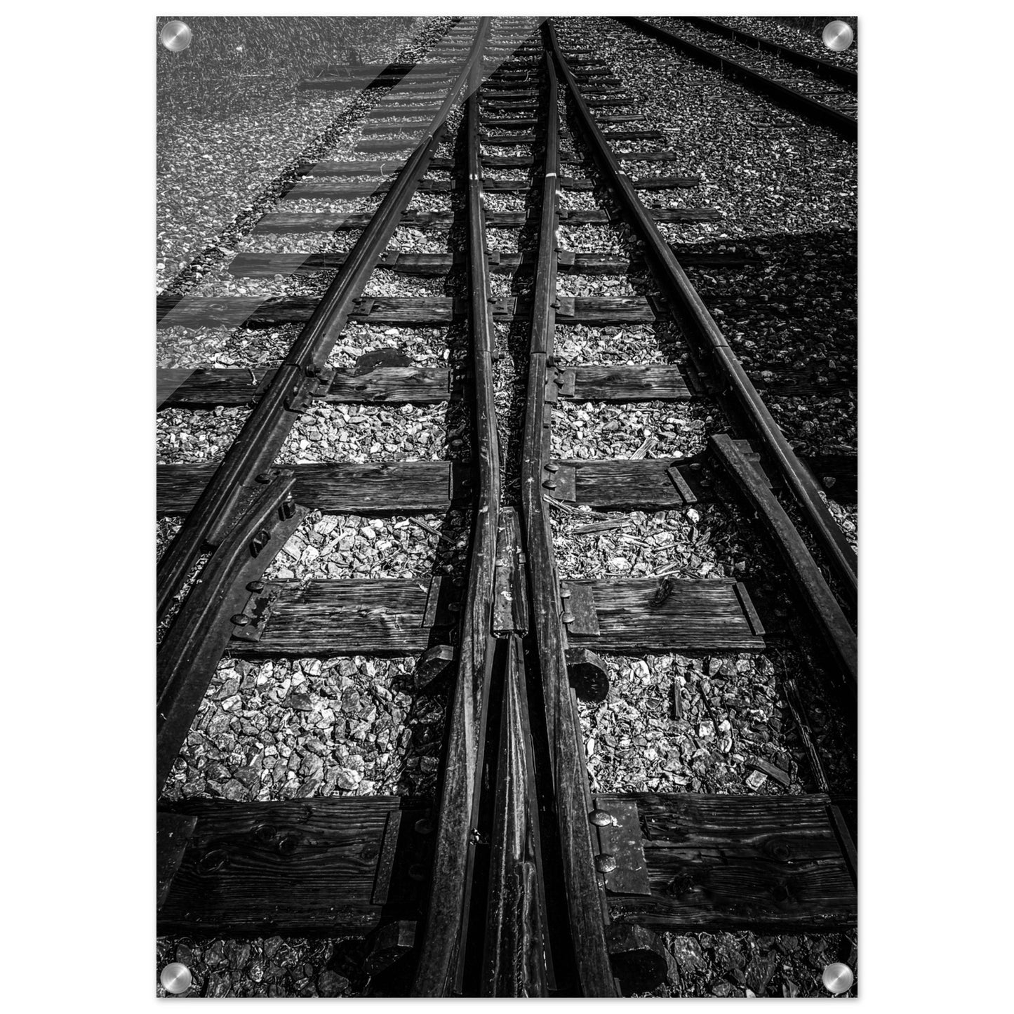 Railroad Tracks, Montana Black & White Acrylic Print