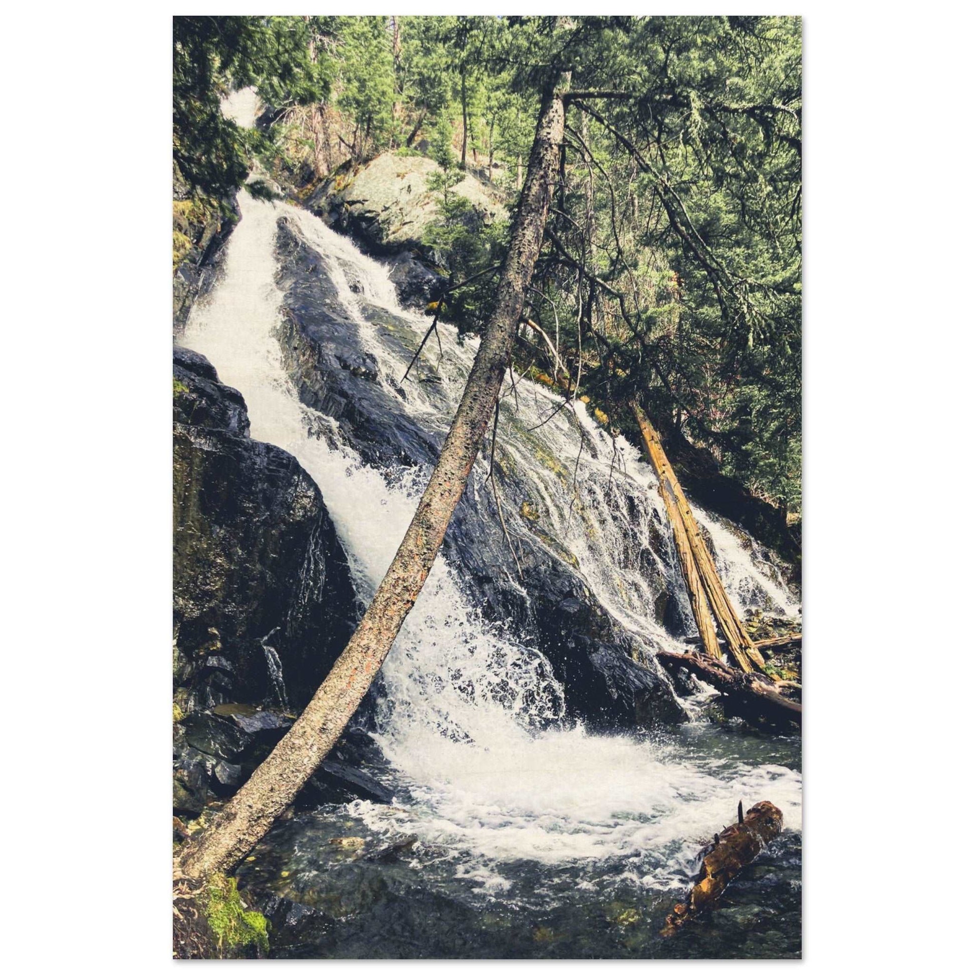 Pine Creek Falls; Pine Creek Trail; Paradise Valley, Montana Wood Print