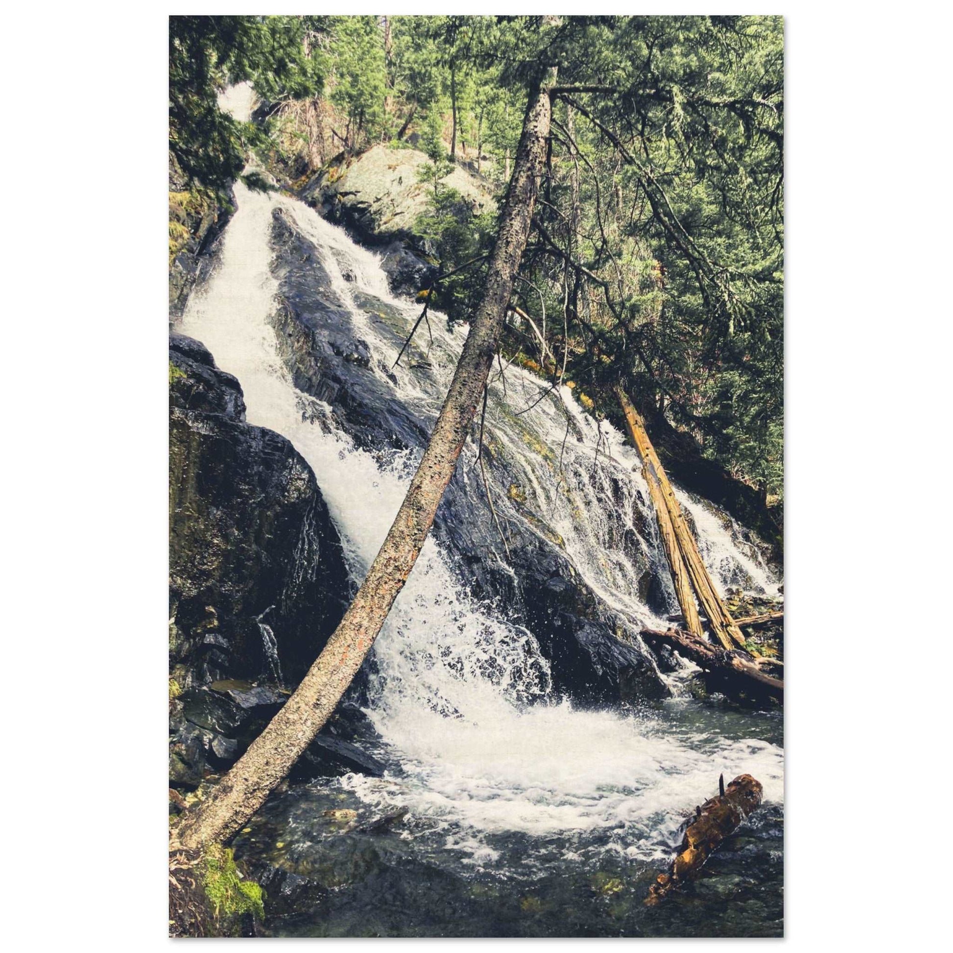 Pine Creek Falls; Pine Creek Trail; Paradise Valley, Montana Wood Print