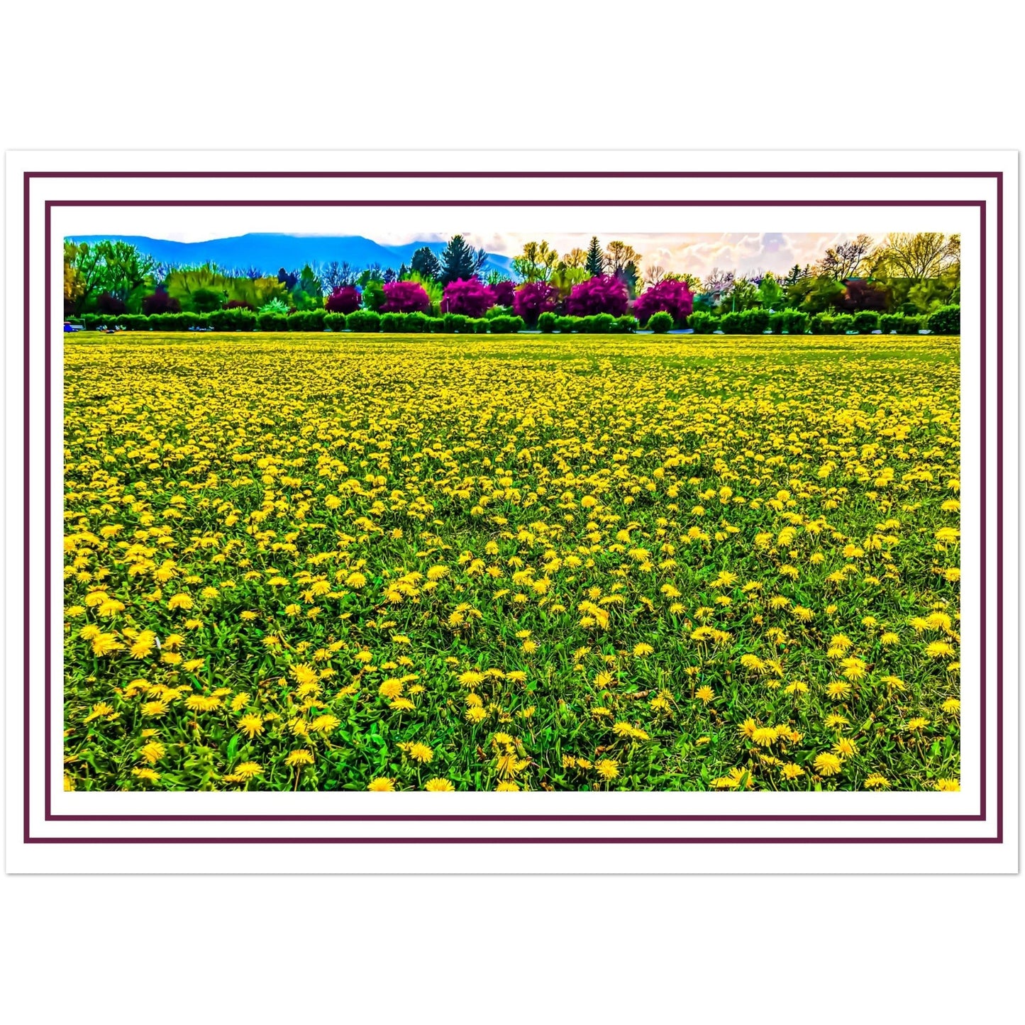 Sacajawea Park Pack of 10 Postcards (2-sided, standard envelopes) (US & CA)