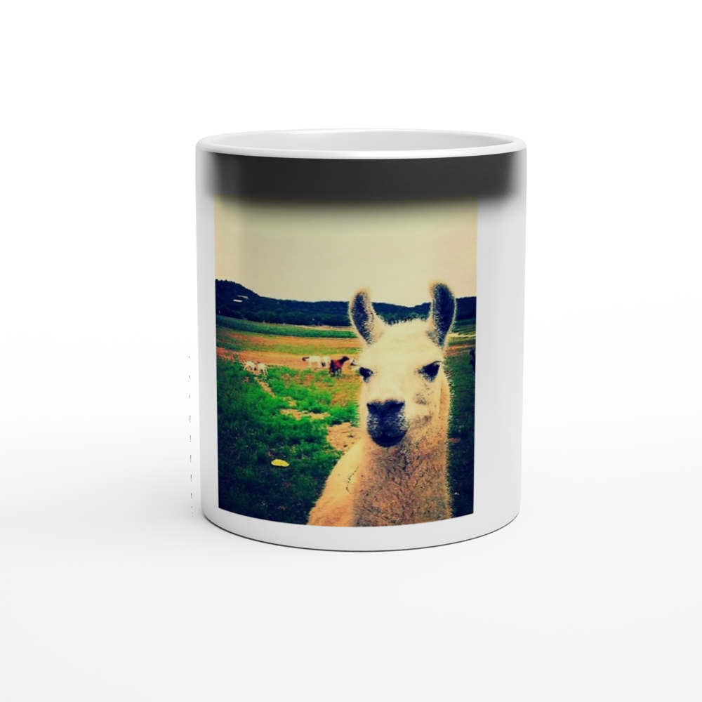 Magic Llama 11oz Ceramic Mug