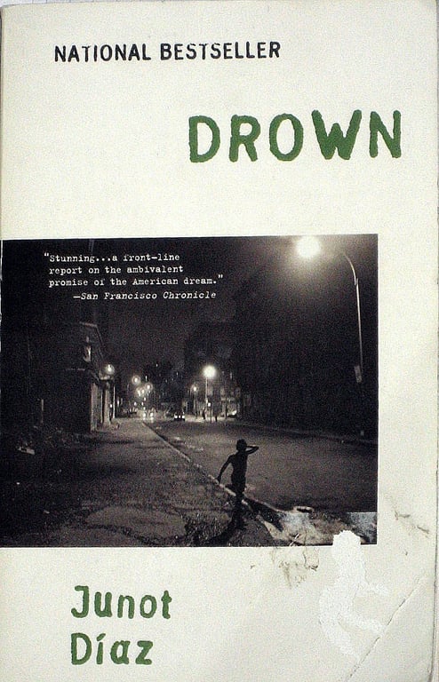 Drown: Stories by Junot Diaz