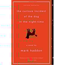 The Curious Incident of the Dog in the Night-Time by Mark Haddon