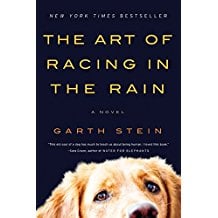 The Art of Racing in the Rain by Garth Stein